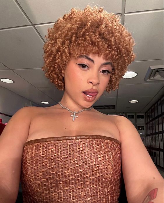 Is Ice Spice Wearing A Wig – ModernShow