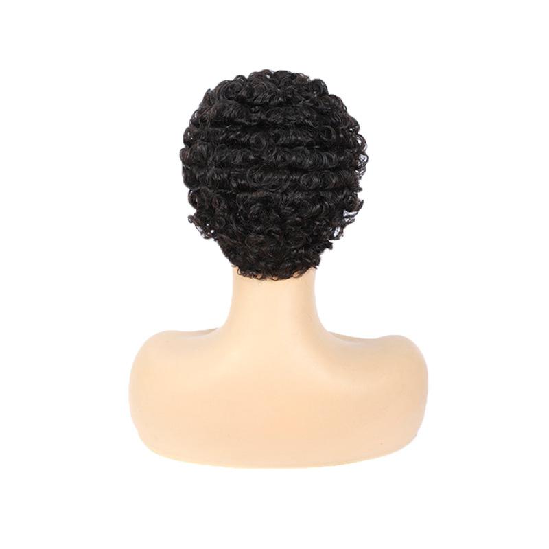 Modern Show Afro Kinky Curly Human Hair Wigs Glueless Pixie Cut Wig