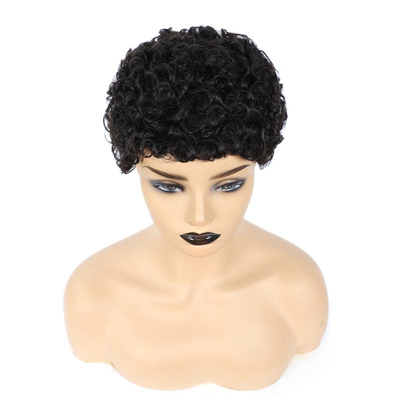 Modern Show Afro Kinky Curly Human Hair Wigs Glueless Pixie Cut Wig