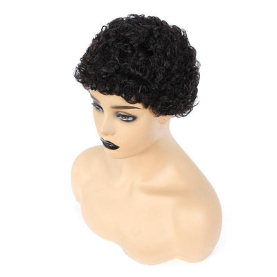 Modern Show Afro Kinky Curly Human Hair Wigs Glueless Pixie Cut Wig