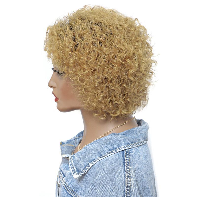 Modern Show 1b/27 Ombre Blonde Color Short Loose Curly Human Hair Wigs Afro Curl Wig Brazilian Water Wave Hair Wig