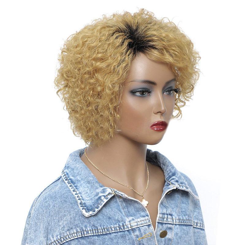 Modern Show 1b/27 Ombre Blonde Color Short Loose Curly Human Hair Wigs Afro Curl Wig Brazilian Water Wave Hair Wig