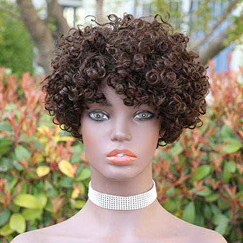 Modern Show Ombre Short Afro Curly Wig Glueless Wear And Go Human Hair Wigs