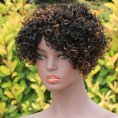 Modern Show Ombre Short Afro Curly Wig Glueless Wear And Go Human Hair Wigs
