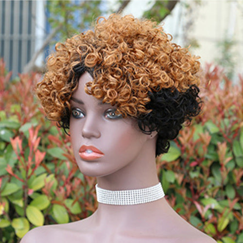 Modern Show Ombre Short Afro Curly Wig Glueless Wear to Go Human Hair Wigs