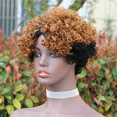 Modern Show Ombre Short Afro Curly Wig Glueless Wear And Go Human Hair Wigs