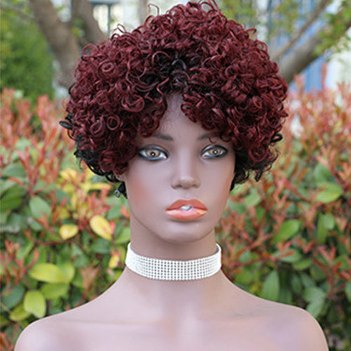 Modern Show Ombre Short Afro Curly Wig Glueless Wear And Go Human Hair Wigs