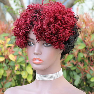 Modern Show Ombre Short Afro Curly Wig Glueless Wear to Go Human Hair Wigs