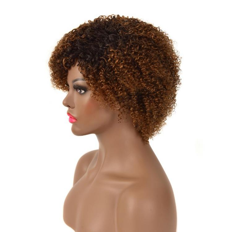 Modern Show 1b/30 Brown Ombre Short Curly Human Hair Wigs Glueless No-Lace Wig For Women