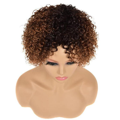 Modern Show 1b/30 Brown Ombre Short Curly Human Hair Wigs Glueless No-Lace Wig For Women