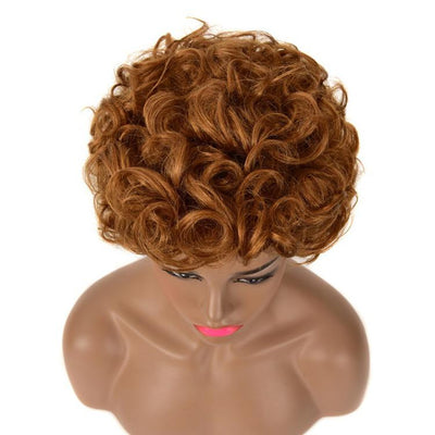 Modern Show #30 Brown Color Short Loose Wave Human Hair Wigs Glueless No-Lace Wig For Women