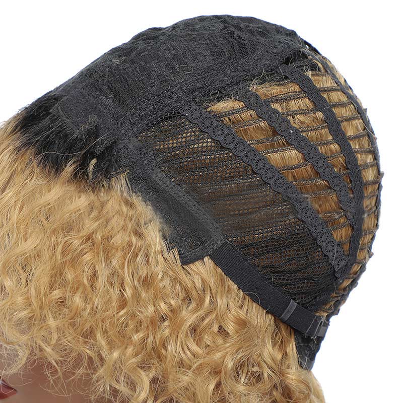 Modern Show 1b/27 Ombre Blonde Color Short Loose Curly Human Hair Wigs Afro Curl Wig Brazilian Water Wave Hair Wig