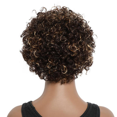 Modern Show Short Afro Curly Highlight Color Human Hair Wigs #4/27 Pixie Haircuts 13x1 Lace Front Wig For Women