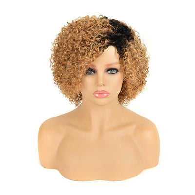 Modern Show Brown Ombre Short Curly Human Hair Wigs 1b/27/99j Burgundy Color Glueless Machine Made Wig For Women