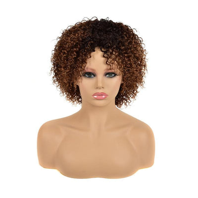 Modern Show Brown Ombre Short Curly Human Hair Wigs 1b/27/99j Burgundy Color Glueless Machine Made Wig For Women
