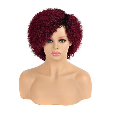 Modern Show Brown Ombre Short Curly Human Hair Wigs 1b/27/99j Burgundy Color Glueless Machine Made Wig For Women