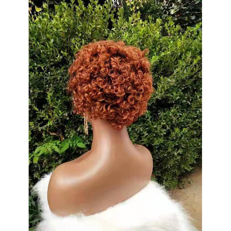 Modern Show Short Afro Curly Pixie Haircuts Human Hair Wigs 13x1 Lace Front Wig For Women